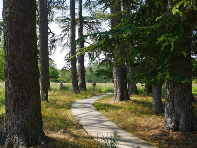 Festival International des Jardins de Chaumont-sur-Loire - Sentier ©Pierre Goubeaux